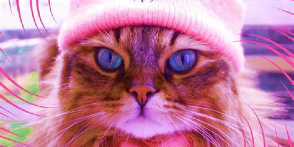 Imagem do grupo de WhatsApp S̾tͭiͥcͨk̾eͤrͬ 🔥 S̾eͤxͯy̾