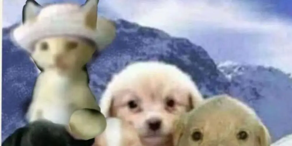 Imagem do grupo de WhatsApp 🎊 Stιᥴkᥱr 24h 🎊