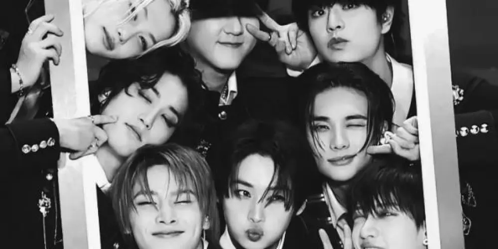 Imagem do grupo de WhatsApp Stray kids brasil word