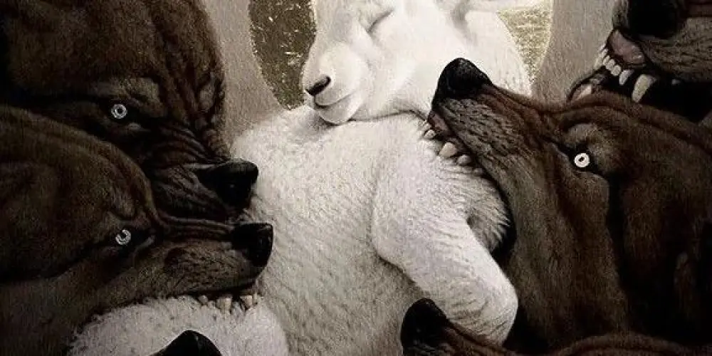 Imagem do grupo de WhatsApp ✝️Studium Fidei✝️