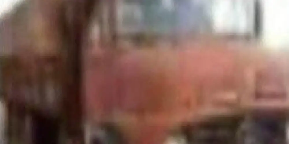 Imagem do grupo de WhatsApp Submundo 2.0