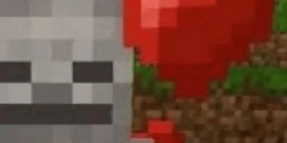 Imagem do grupo de WhatsApp 𝑋𝐼𝑄𝑈𝐸 𝑋𝐼𝑄𝑈𝐸 𝐵𝐴𝐻𝐼𝐴ت︎