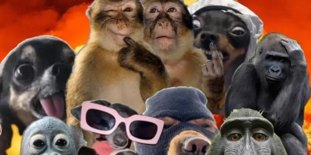 Imagem do grupo de WhatsApp 𝖮𝗌 ՏᥱᎷ 𝐍𝐨𝐜̧𝐚̃૦ 💯