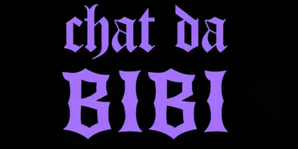 Imagem do grupo de WhatsApp ఌ︎   ᑕᕼᗩT ᗪᗩ ᗷIᗷI    ఌ︎