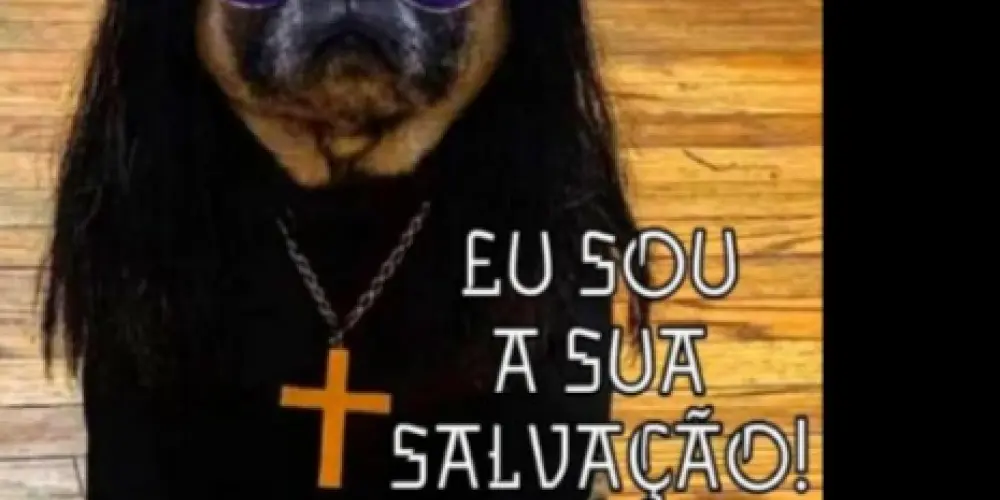 Imagem do grupo de WhatsApp ᑕᕼᗩT ᗞO ᗰᗩᒪ