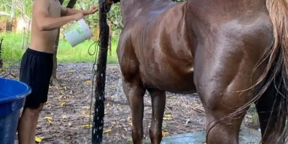 Imagem do grupo de WhatsApp ⓥ ᑕᕼᗩTﾠᗪOﾠᒍOᗩO ♤