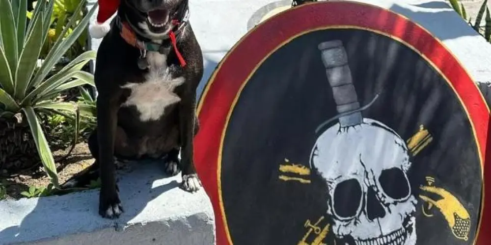 Imagem do grupo de WhatsApp ت︎❦︎𝑪𝐫𝑦𝒔𝐭𝑎𝐥 𝑘𝐢𝐧𝒈𝒅𝑜𝑚❦︎ت︎