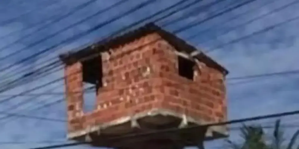 Imagem do grupo de WhatsApp Tá em casa🏠