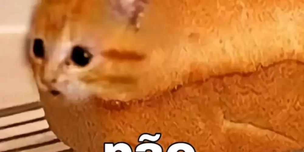 Imagem do grupo de WhatsApp Tacatã