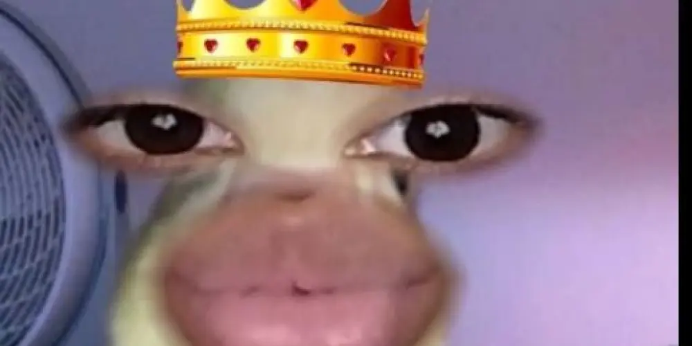 Imagem do grupo de WhatsApp Tapas e beijos 🤪