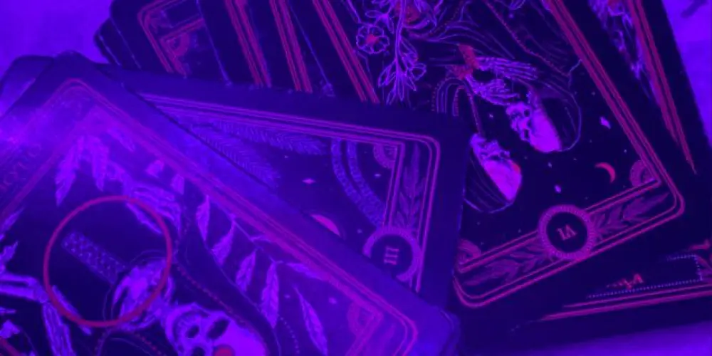 Imagem do grupo de WhatsApp Tarot 🔮📿