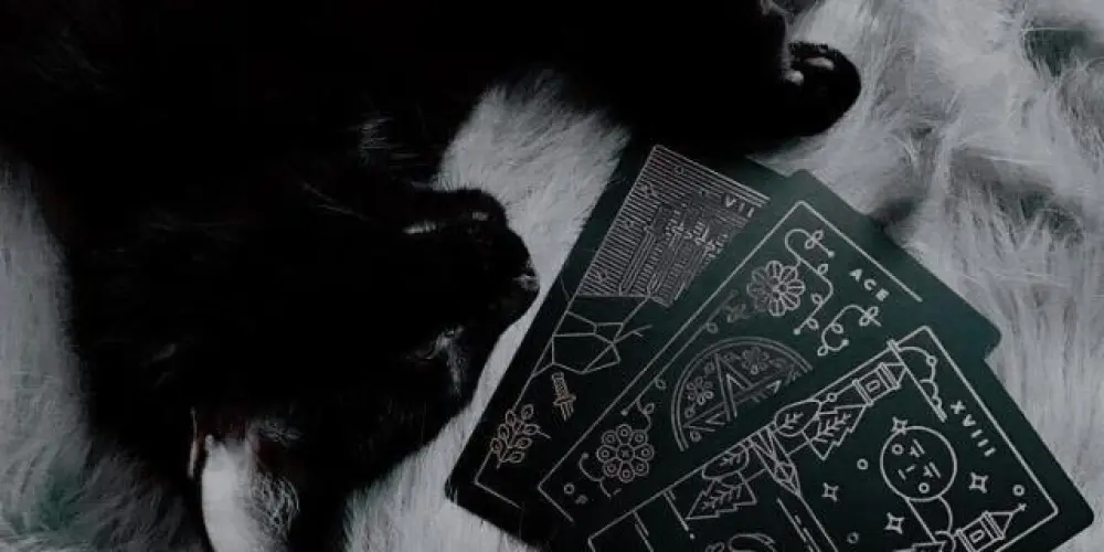 Imagem do grupo de WhatsApp tarot e magia <3
