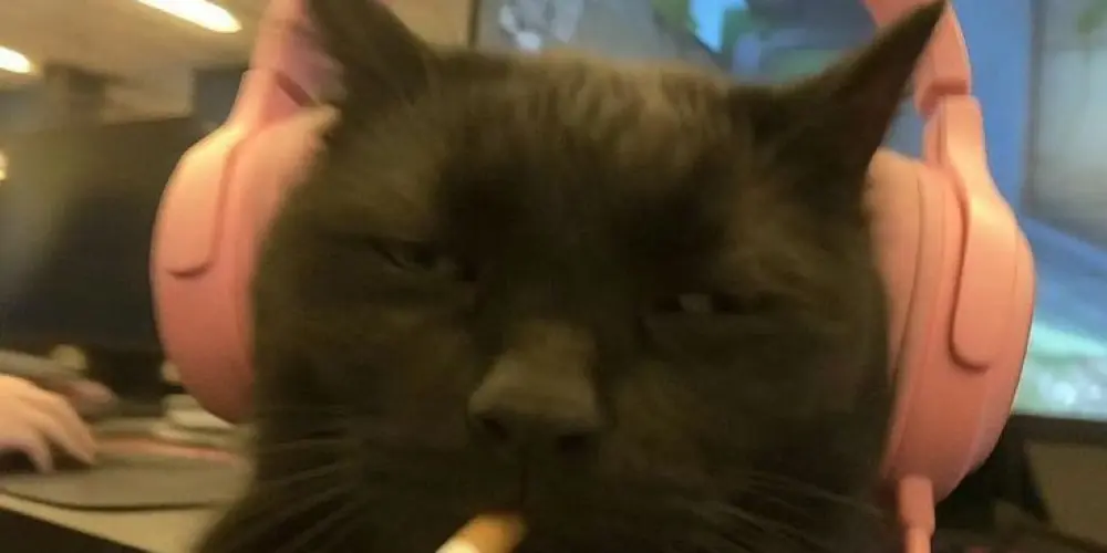 Imagem do grupo de WhatsApp TAVERNA DO DEMON