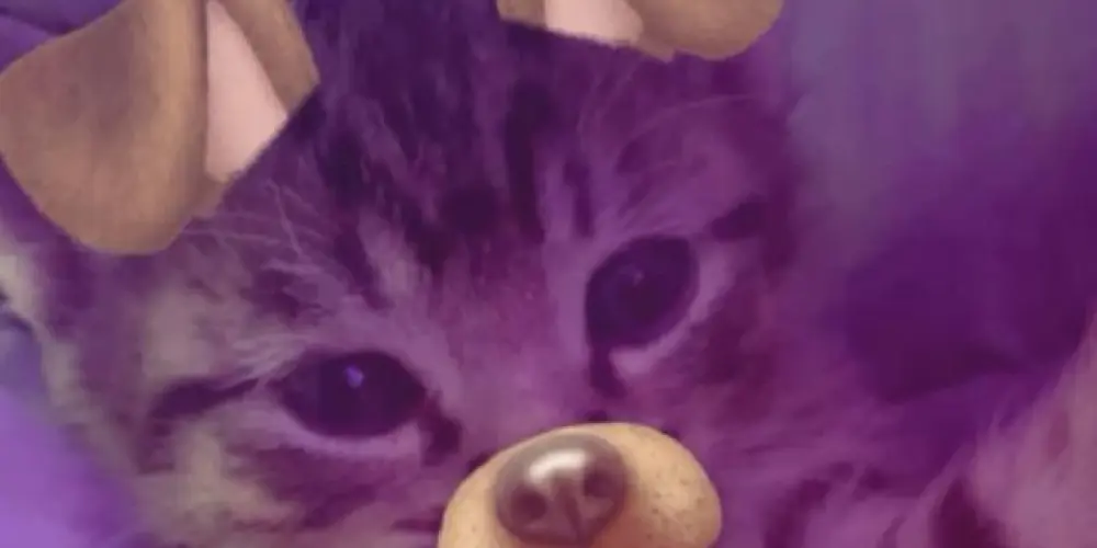 Imagem do grupo de WhatsApp Taverna Sunshine ✨️🏳️‍🌈