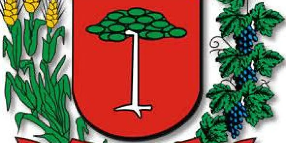Imagem do grupo de WhatsApp Taxas e CLT Curitiba
