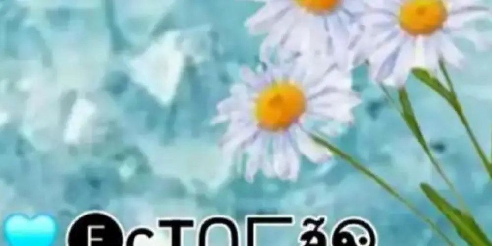 Imagem do grupo de WhatsApp 🩵🅔ՏͲᗅçã❆🅕ⅈᏀႮℛⅈℕℍᗅՏ🩵🩵