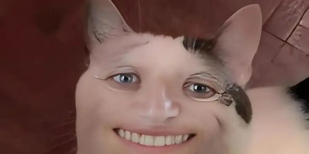 Imagem do grupo de WhatsApp Tchutchucos