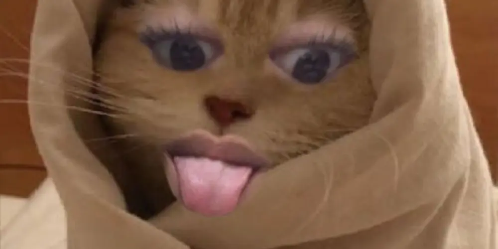 Imagem do grupo de WhatsApp Tᥙd᥆ ᥒ᥆᥉᥉᥆, ᥒᥲdᥲ dᥱᥣᥱ᥉!