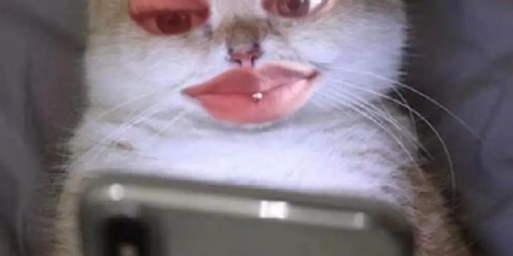 Imagem do grupo de WhatsApp TDAH 100% 👨‍🦽