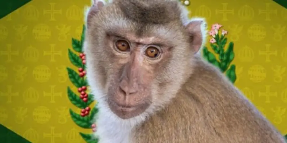 Imagem do grupo de WhatsApp TDK Unidos da República