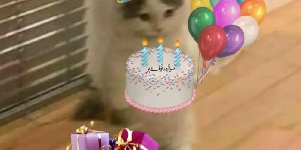 Imagem do grupo de WhatsApp ᗷᗩTE - ᑭᗩᑭO 🎁