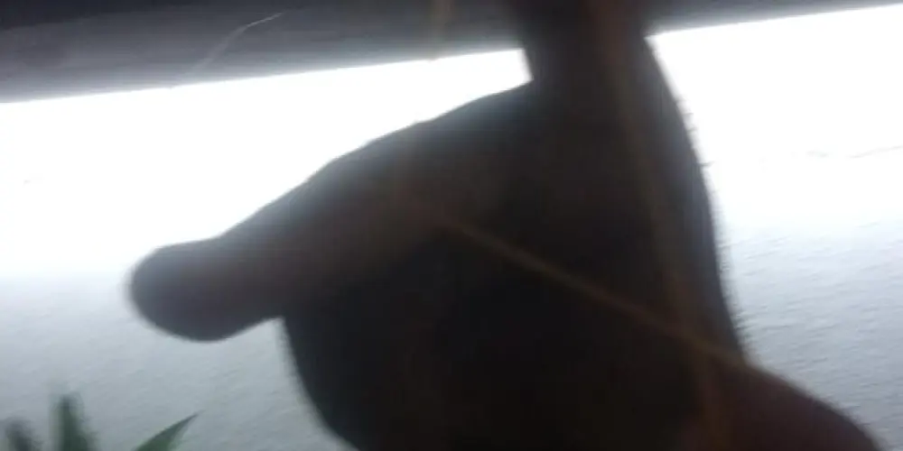 Imagem do grupo de WhatsApp TEAM/GAMERK BR