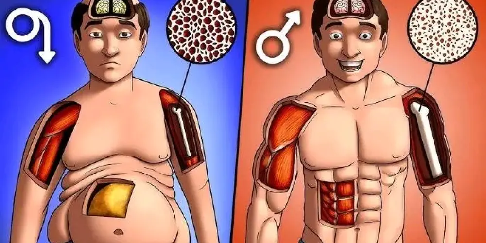 Imagem do grupo de WhatsApp Técnicos de Saúde 🇦🇴