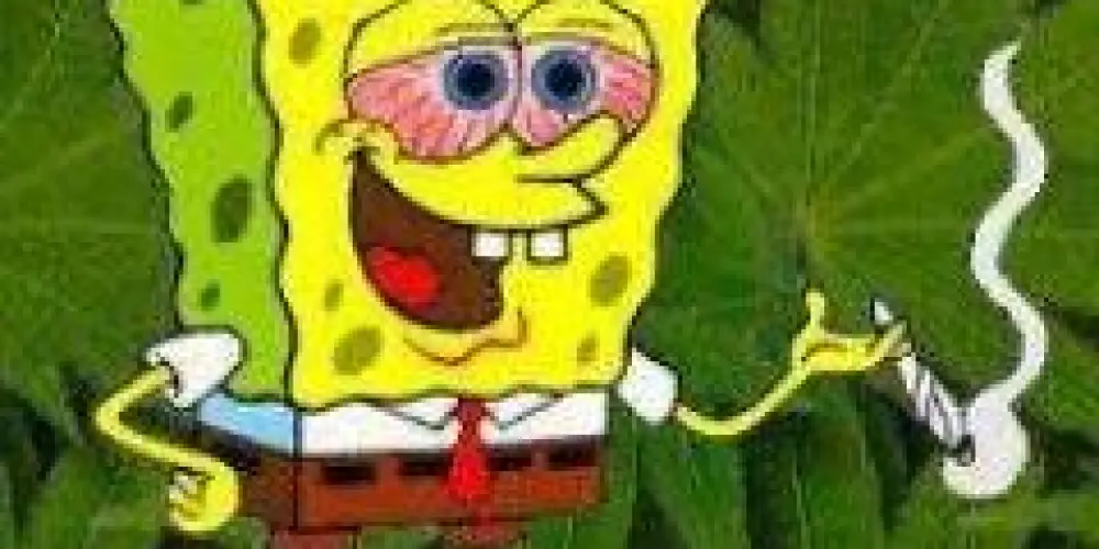 Imagem do grupo de WhatsApp Tem Pitu? 💭