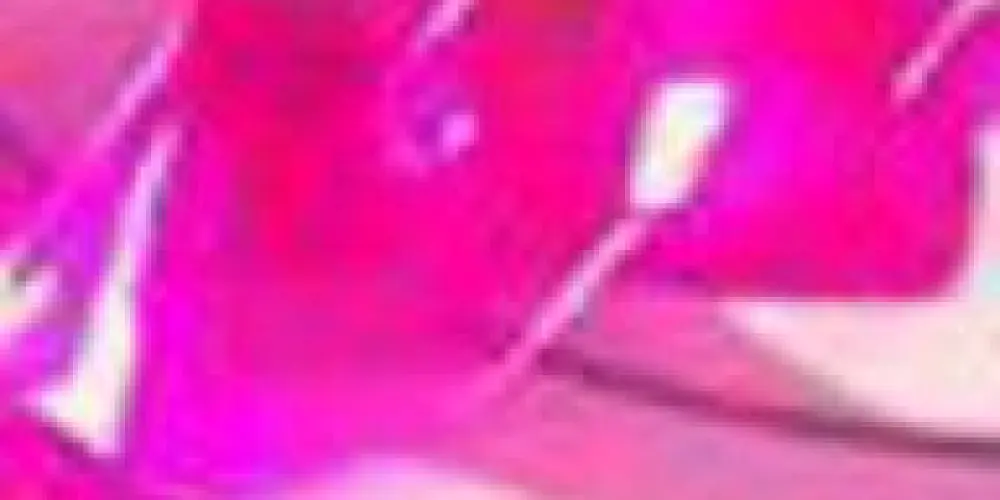 Imagem do grupo de WhatsApp tempest🥷🏻🩸