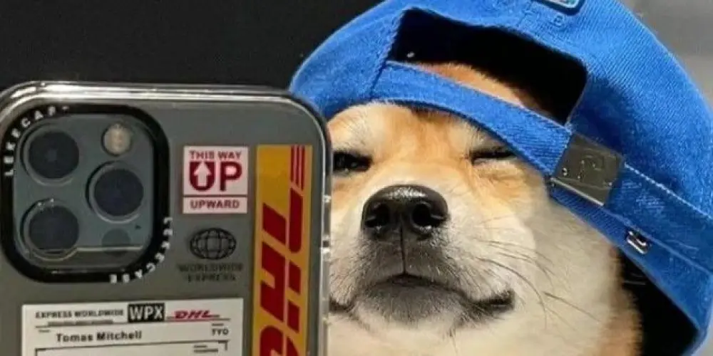 Imagem do grupo de WhatsApp TENOTES💯🤪