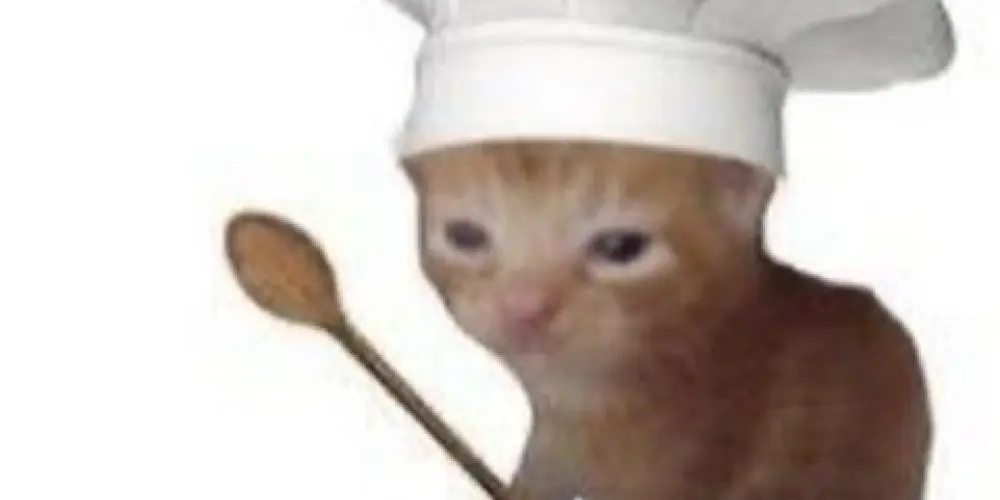 Imagem do grupo de WhatsApp tente não se apaixonar