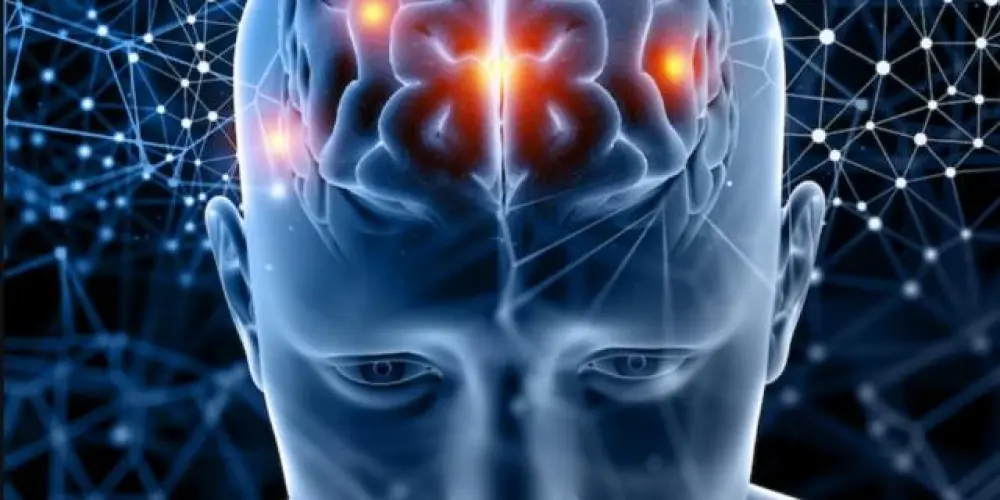 Imagem do grupo de WhatsApp " Terapia Emocional "