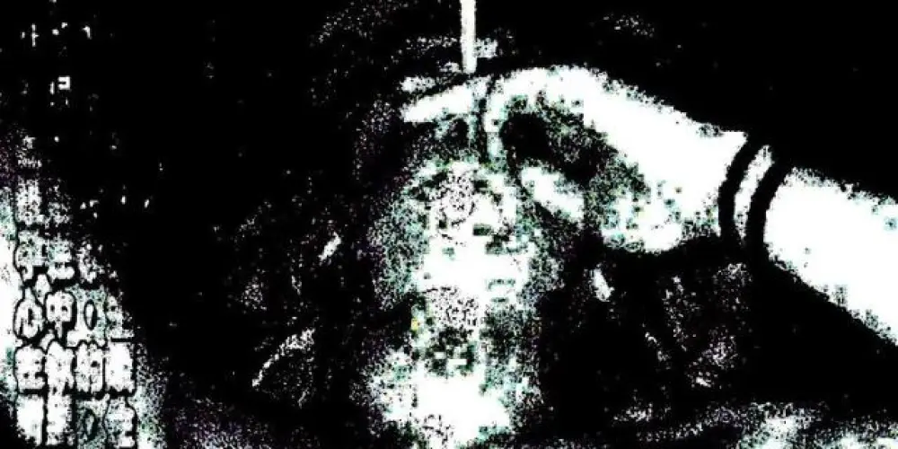 Imagem do grupo de WhatsApp Terra sem lei