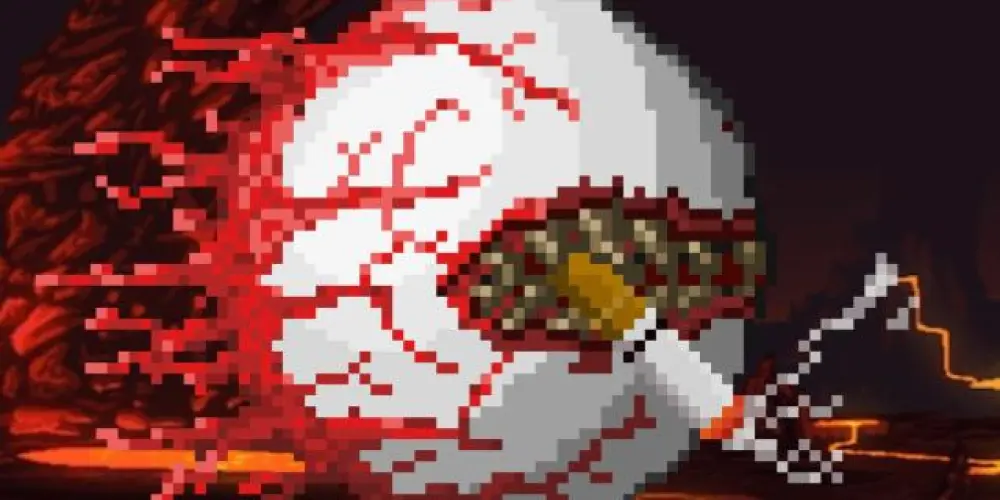 Imagem do grupo de WhatsApp TERRARIA