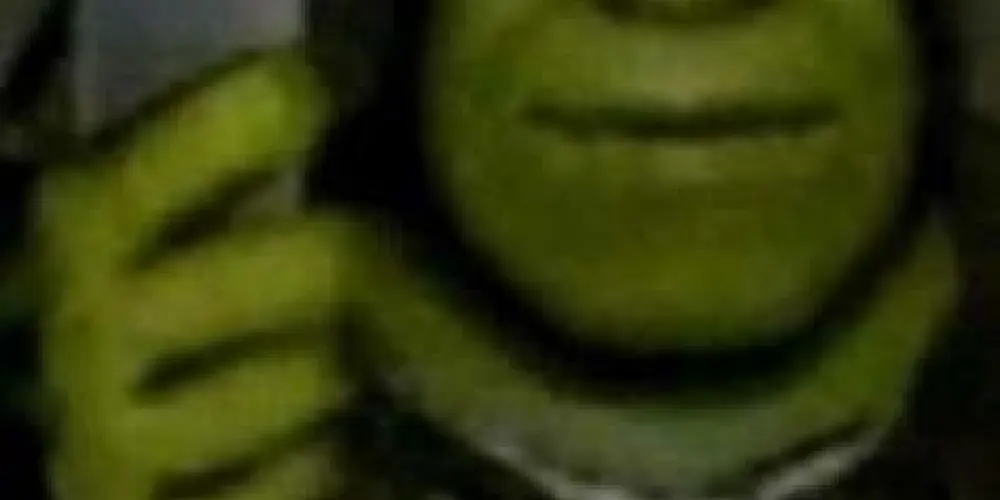 Imagem do grupo de WhatsApp Território da loucura 💥