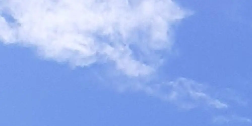 Imagem do grupo de WhatsApp Terror do brasil