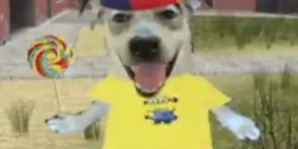 Imagem do grupo de WhatsApp THE AMIZADES 🤍