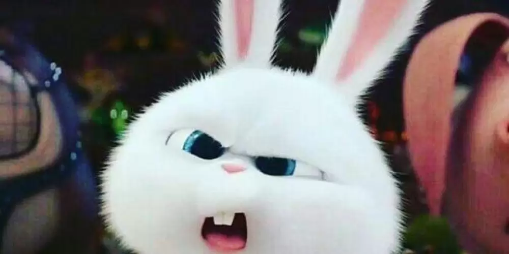 Imagem do grupo de WhatsApp The boys