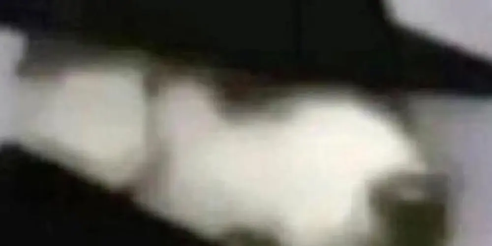 Imagem do grupo de WhatsApp THE CAPS