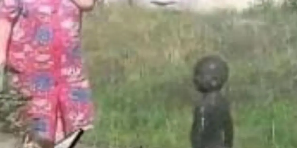 Imagem do grupo de WhatsApp The Caps Figs