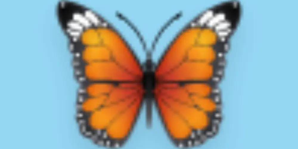 Imagem do grupo de WhatsApp 🦋 𓆩 THE CHAOS HOUSE 𓆪