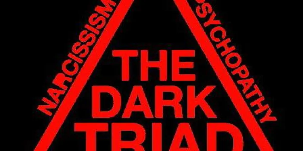 Imagem do grupo de WhatsApp The Dark Triad