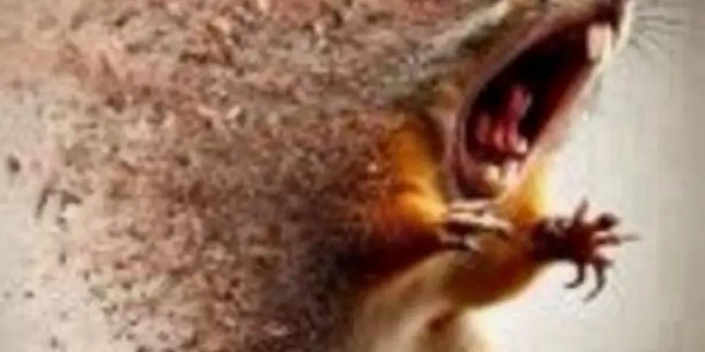 Imagem do grupo de WhatsApp THE EVIL CHEMISTRY