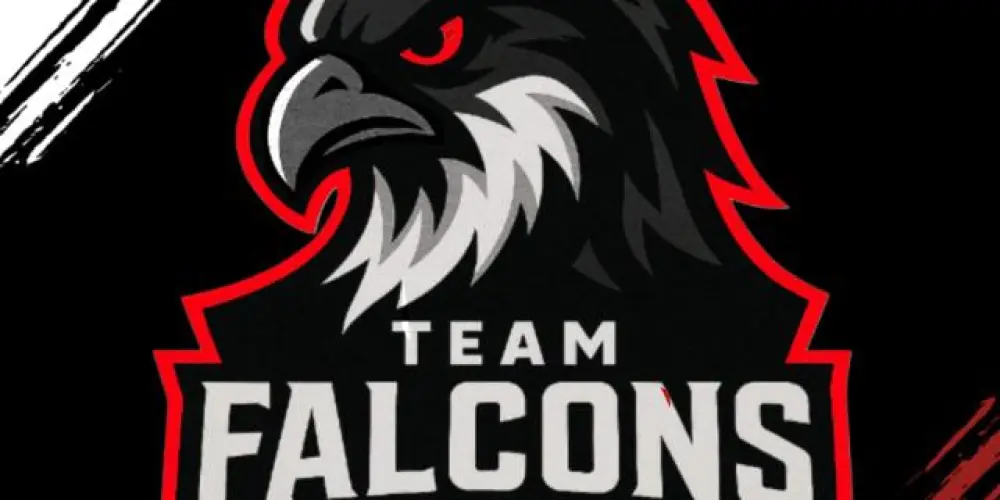 Imagem do grupo de WhatsApp THE FALCONS