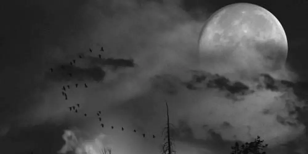 Imagem do grupo de WhatsApp The Flosret