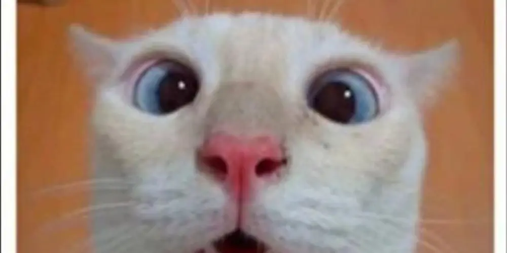 Imagem do grupo de WhatsApp The friends fuck