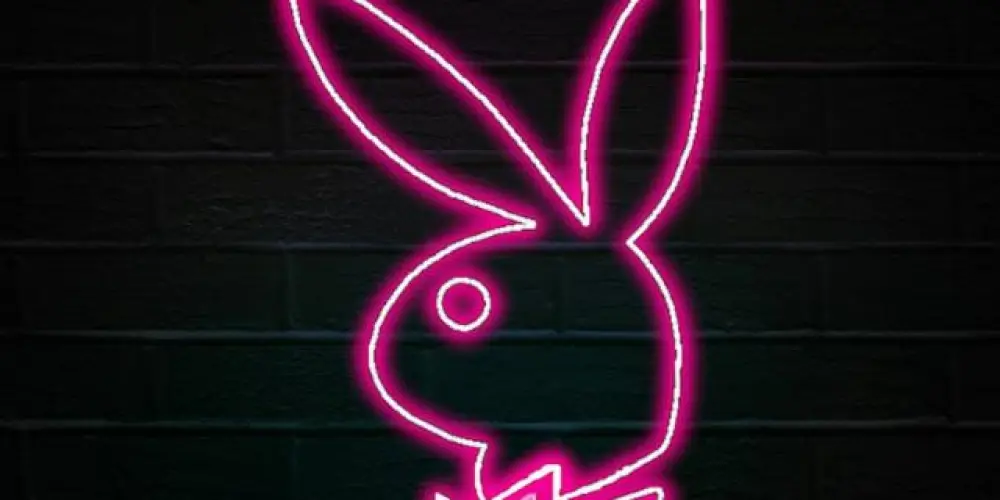 Imagem do grupo de WhatsApp The Group 🔥