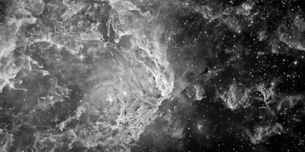 Imagem do grupo de WhatsApp The Hidden