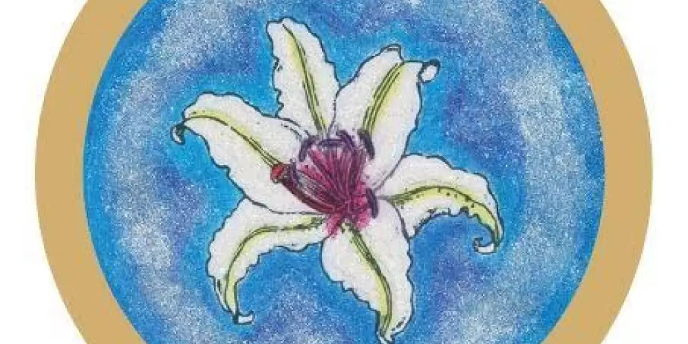 Imagem do grupo de WhatsApp 🎐THE ILLUMINATED🎐