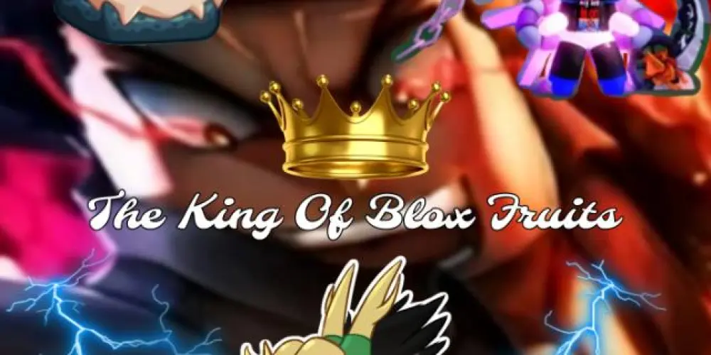 Imagem do grupo de WhatsApp The King Of Blox Fruits🍎